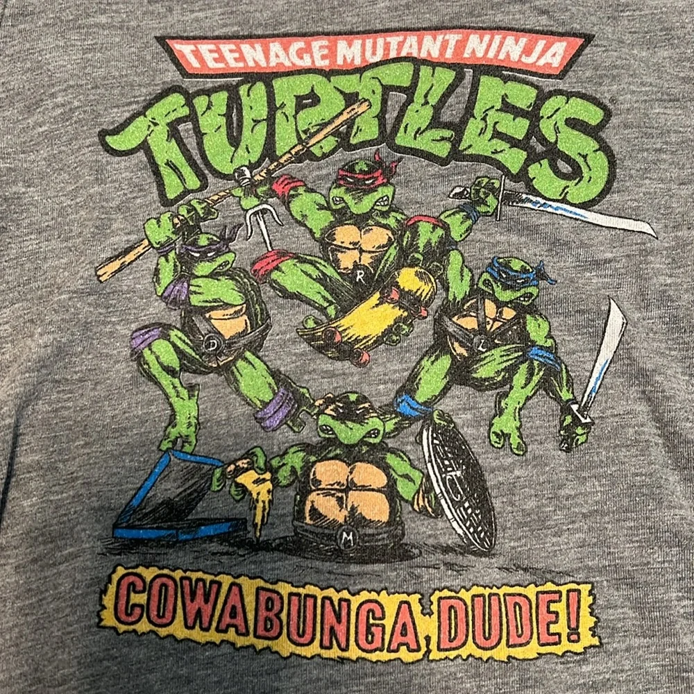 FOUR Homage boys’ graphic t-shirts, size 4 EUC! (TMNT, Zelda, Hockey, NY Jets)